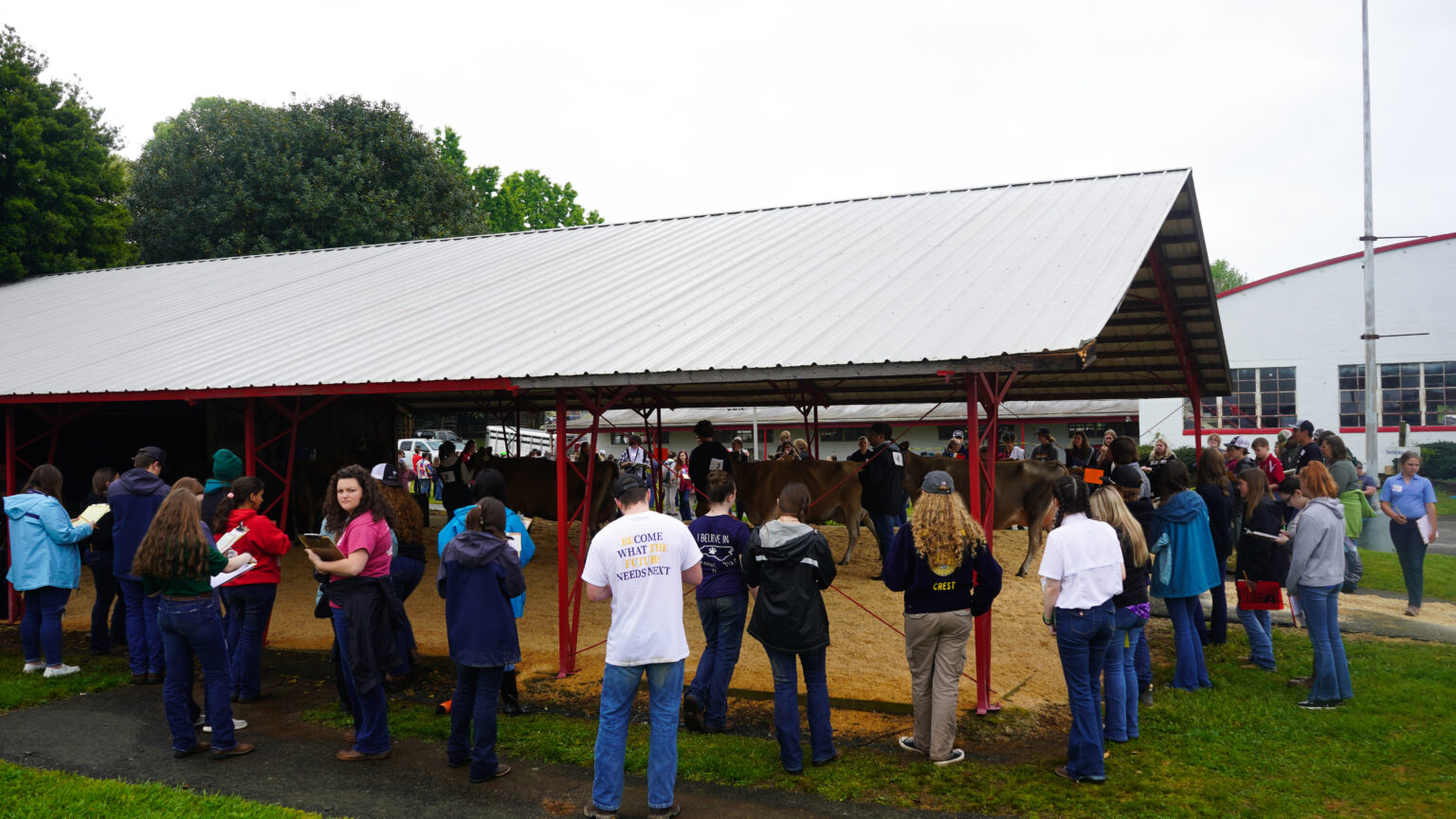 NC 4H & FFA All Breeds Dairy Show