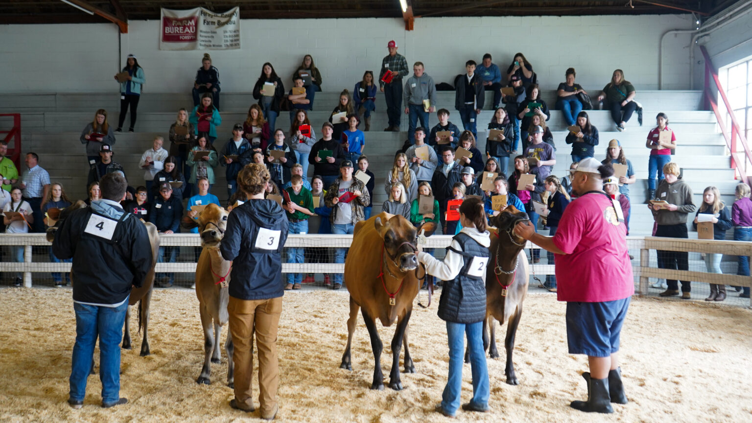 NC 4H & FFA All Breeds Dairy Show