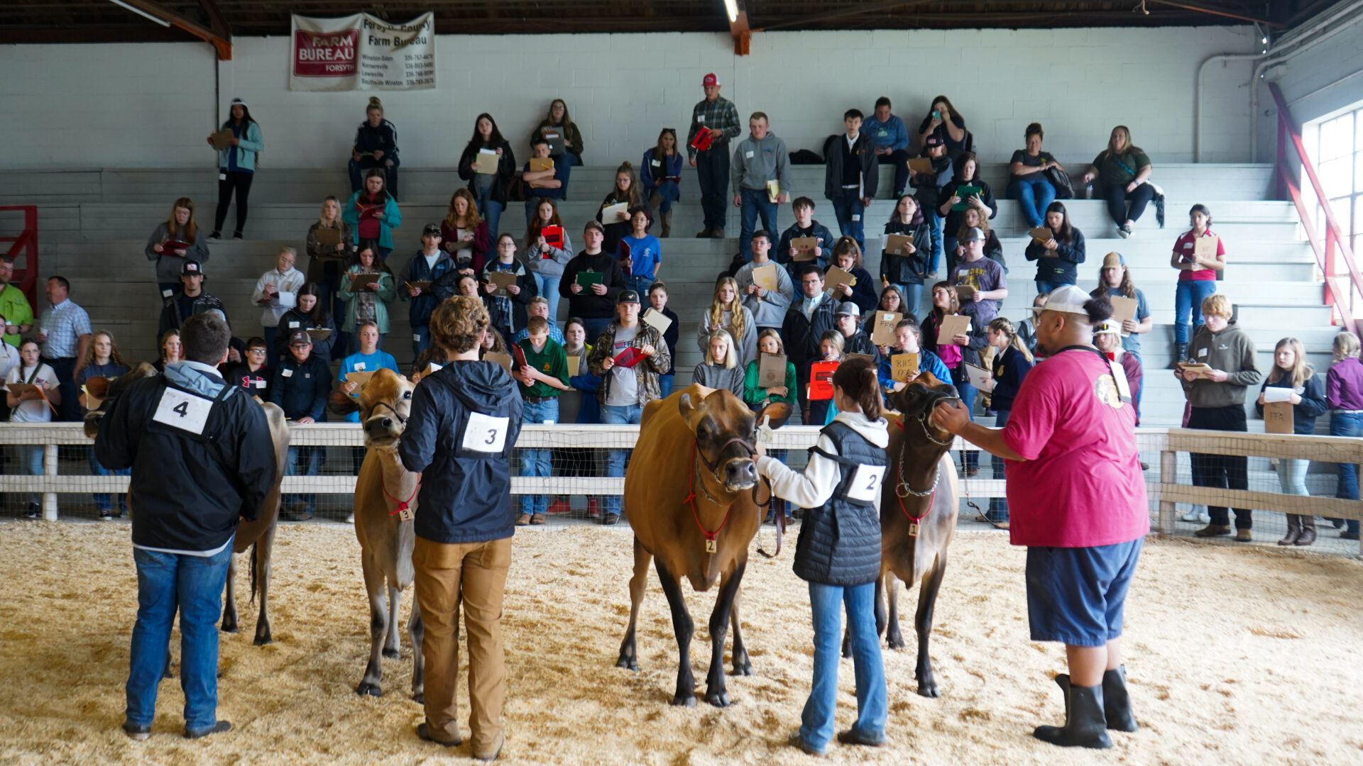 NC 4H & FFA All Breeds Dairy Show