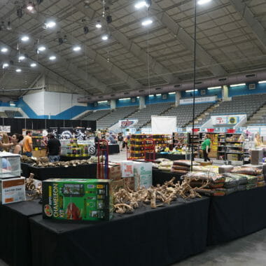 Repticon