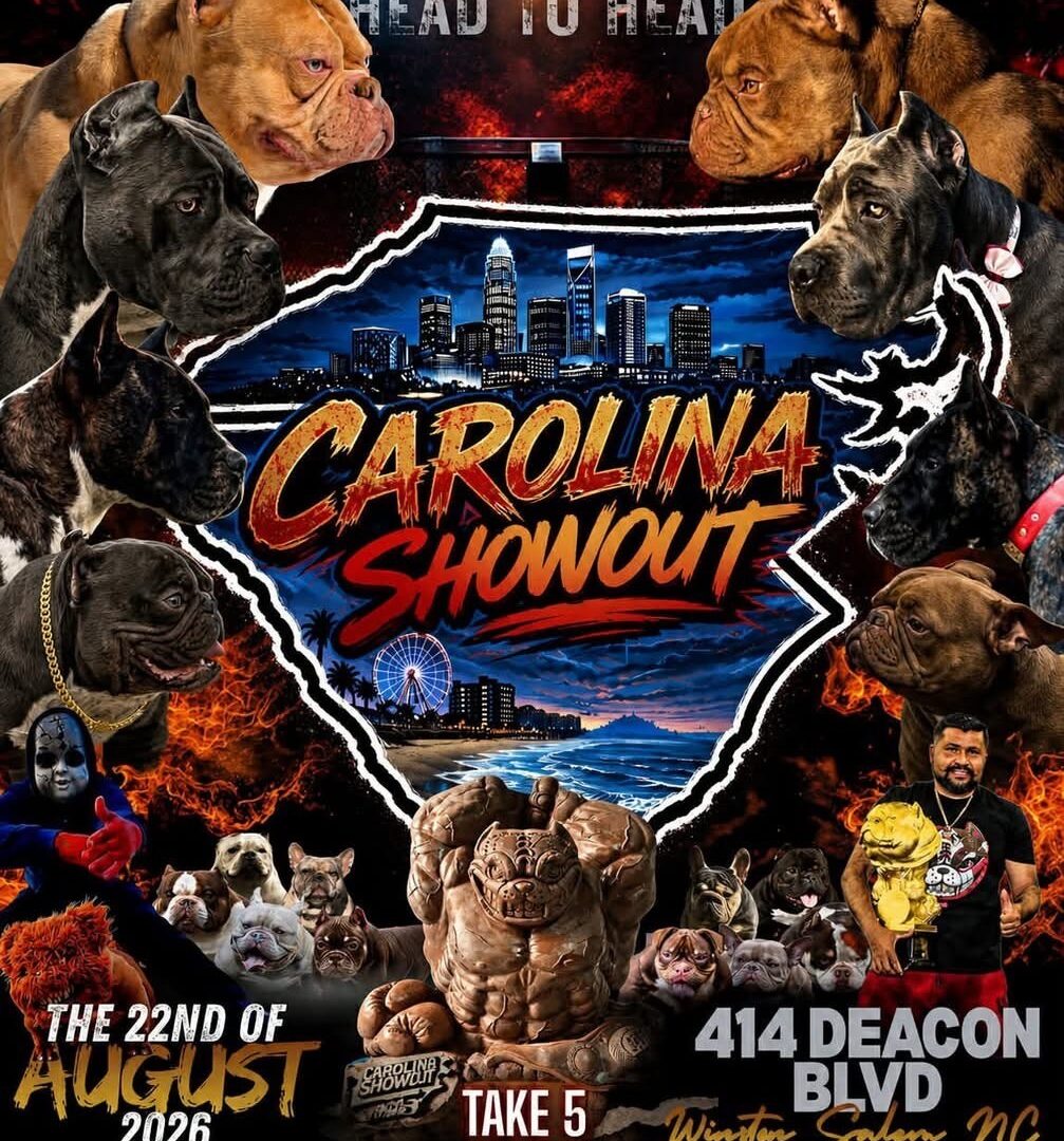 This is an image of (Carolina Show Down) slide